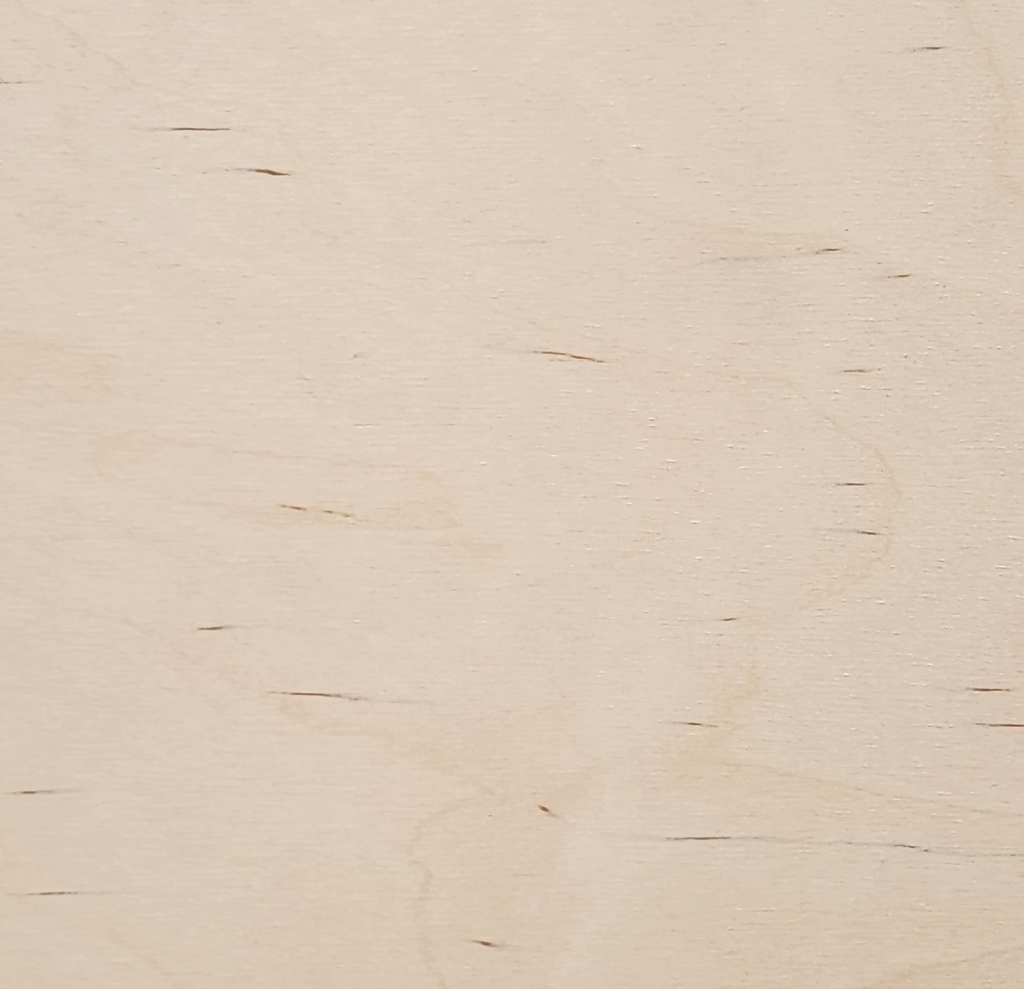 1/4" - B/BB - Premium Baltic Birch Plywood 11.5" x 11.5"