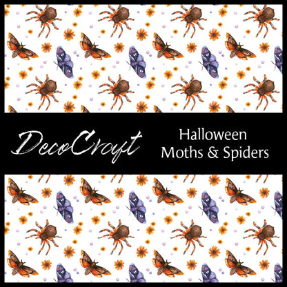 DecoCraft - Halloween - Moths & Spiders